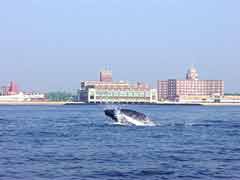 Whale Off Asbury Park